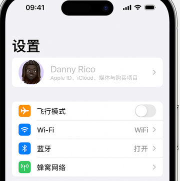 加茂镇appleID维修服务iPhone设置中Apple ID显示为灰色无法使用 