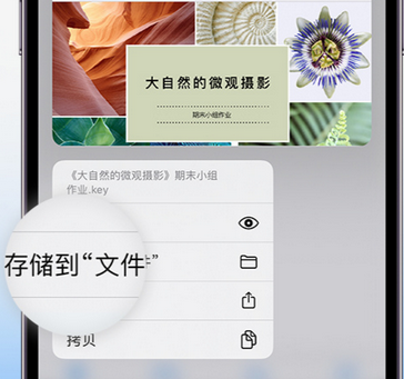 加茂镇apple维修中心分享iPhone文件应用中存储和找到下载文件