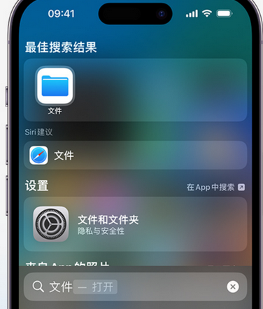 加茂镇apple维修中心分享iPhone文件应用中存储和找到下载文件