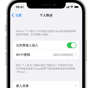 加茂镇apple服务站点分享iPhone上个人热点丢失了怎么办