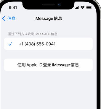 加茂镇apple维修iPhone上无法正常发送iMessage信息