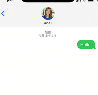 加茂镇apple维修iPhone上无法正常发送iMessage信息