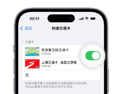 加茂镇apple维修点分享iPhone上更换Apple Pay快捷交通卡手绘卡面 