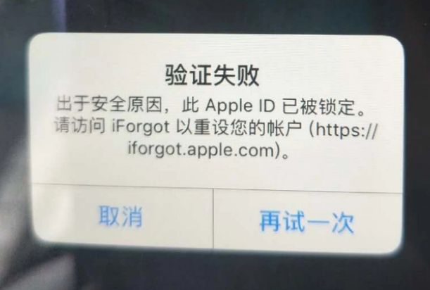 加茂镇iPhone维修分享iPhone上正常登录或使用AppleID怎么办 