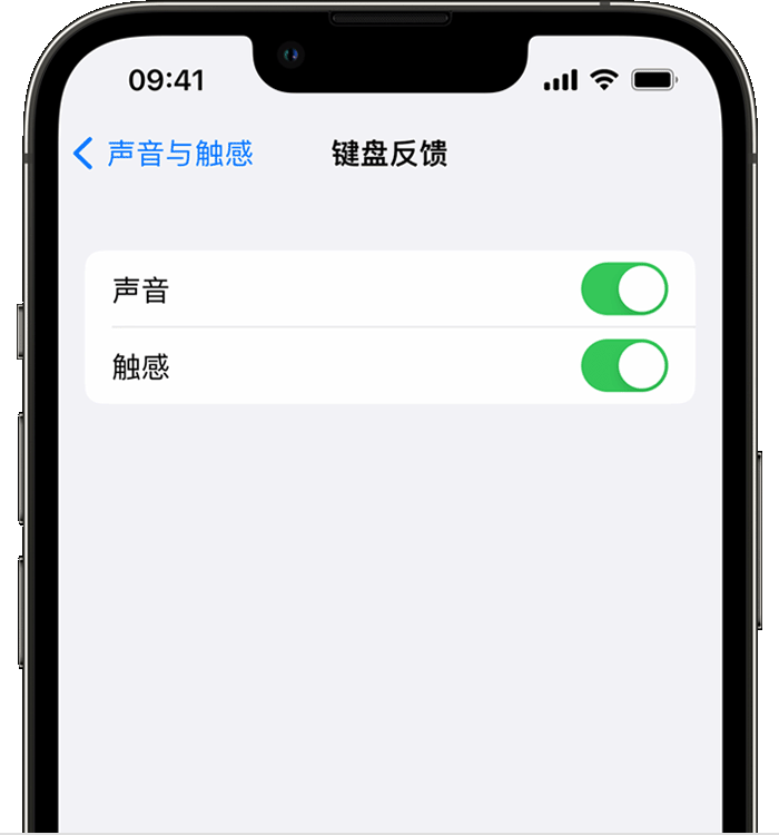 加茂镇苹果14维修店分享如何在 iPhone 14 机型中使用触感键盘 