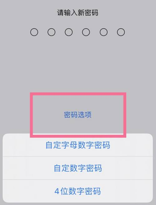 加茂镇苹果14维修分享iPhone 14plus设置密码的方法 