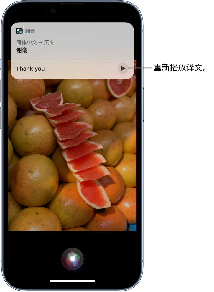 加茂镇苹果14维修分享 iPhone 14 机型中使用 Siri：了解 Siri 能帮你做什么 