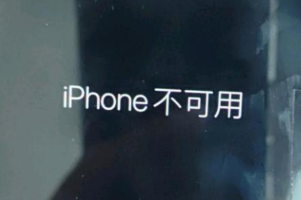 加茂镇苹果服务网点分享锁屏界面显示“iPhone 不可用”如何解决 