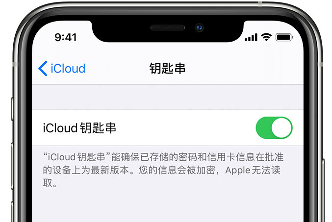 加茂镇苹果手机维修分享在 iPhone 上开启 iCloud 钥匙串之后会储存哪些信息 