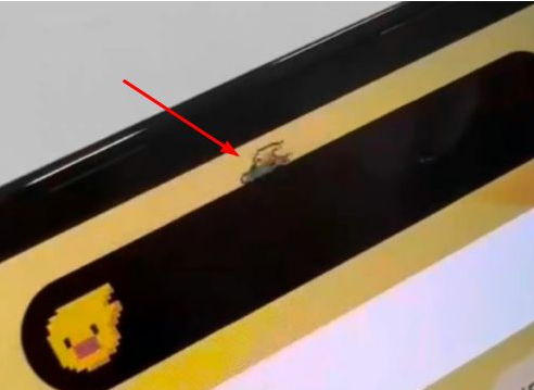 加茂镇苹果14维修分享iPhone 14 Pro Max灵动岛怎么养宠物 