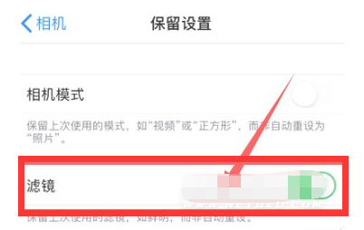 加茂镇苹果13维修分享iPhone13拍照有绿点是怎么回事 