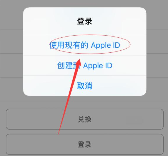 加茂镇苹果手机维修分享两台iPhone设备可以同时登录一个Apple ID吗 